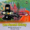 Om Namah Shivay